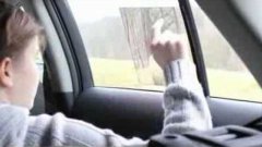 Toyota Window to the world